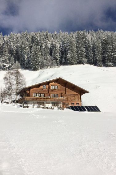 Abelied Apartment in Adelboden