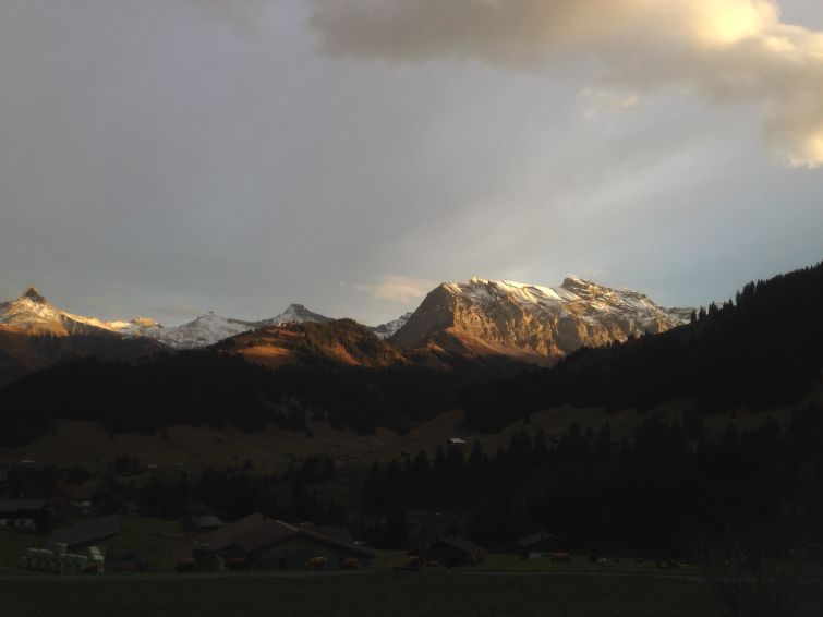 Photo of Abelied