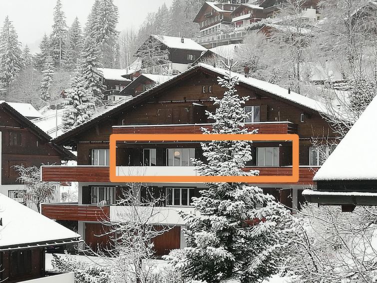 Gruebi - Haus Baldrian Appartement/Fewo, Bad, WC, 2 Schlafräume 3-Zimmerwohnung in Adelboden