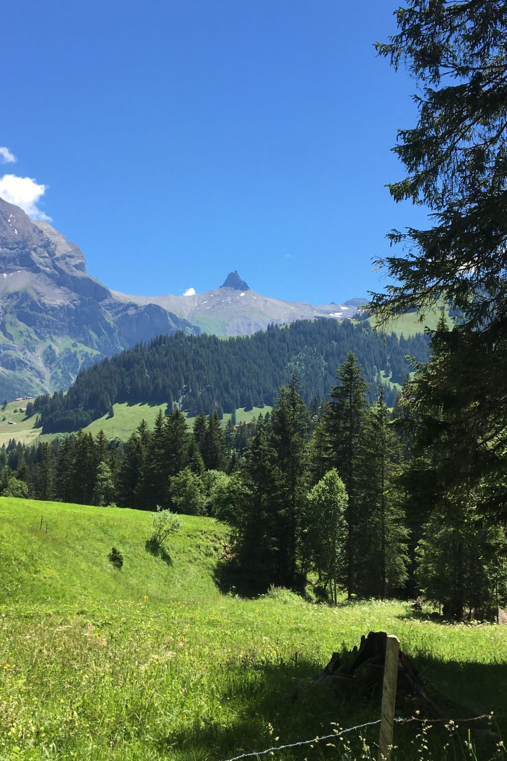 Photo of Schalmi Appartement/Fewo, Dusche, WC, 2 Schlafräume 3-Zimmerwohnung DG