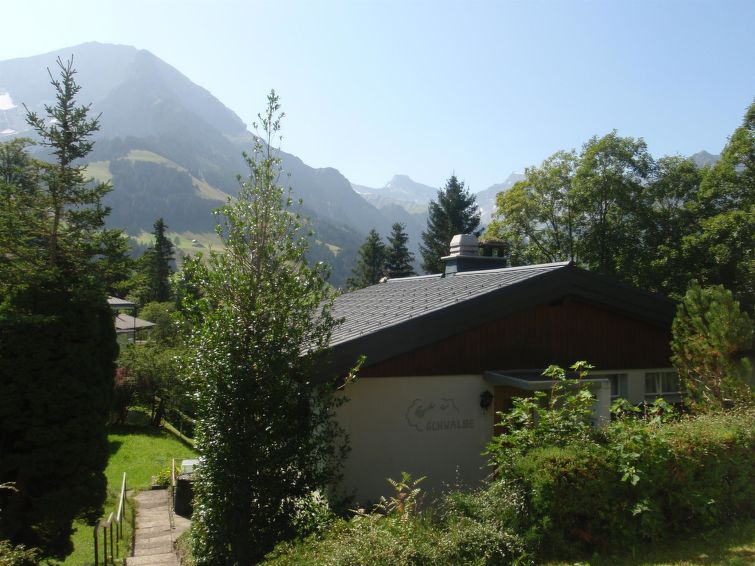 Photo of Schwalbe