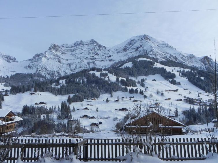 Lohnerblick Villa in Adelboden