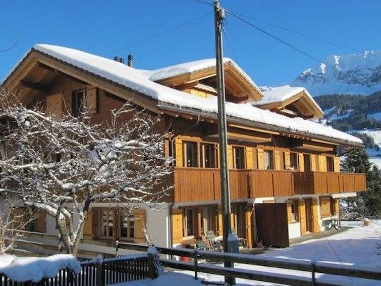 Alpine Retreat Apartment in Adelboden