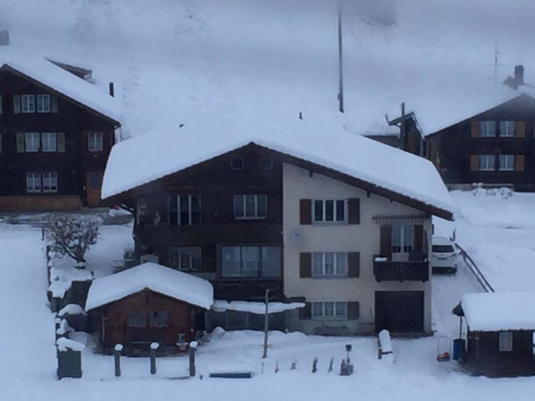 Wildbach Villa in Adelboden