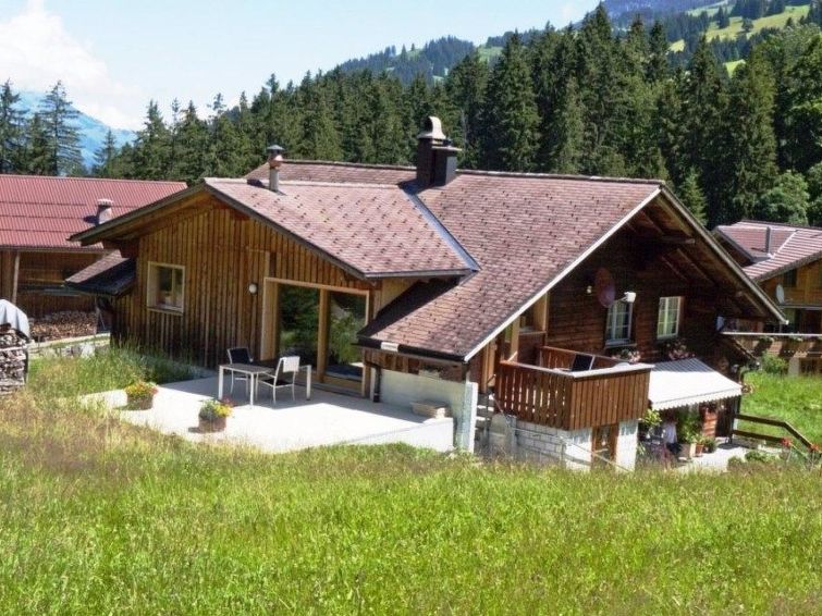 Burn, Alte Strasse Apartment in Adelboden