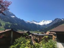 Haldematt: Sfeervol appartement in hartje Adelboden met tuin en skipiste op loopafstand - thumbnail 4