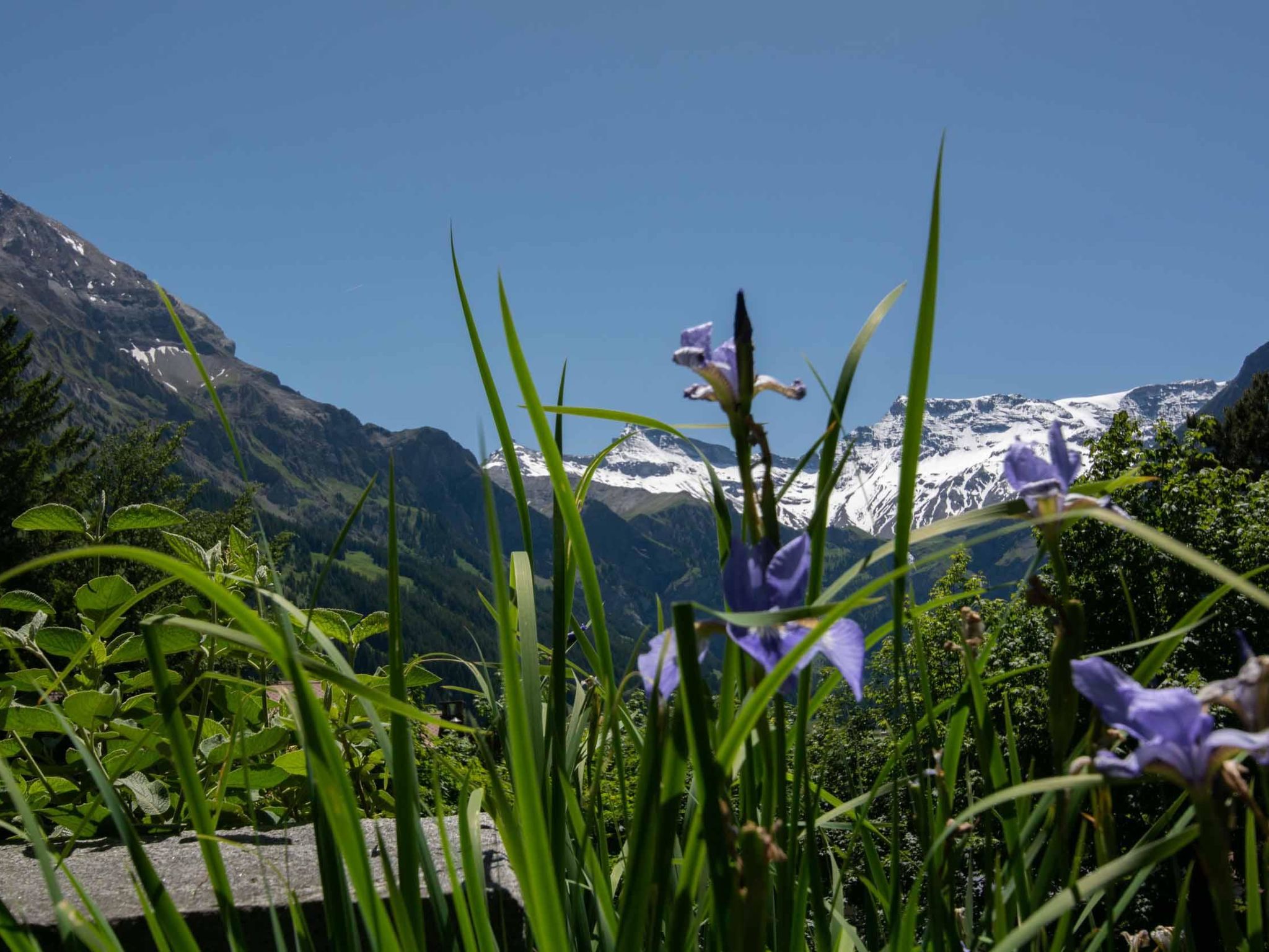 Photo of Chalet Grimm Appartement/Fewo, Dusche, WC 5.5-Zimmerwohnung