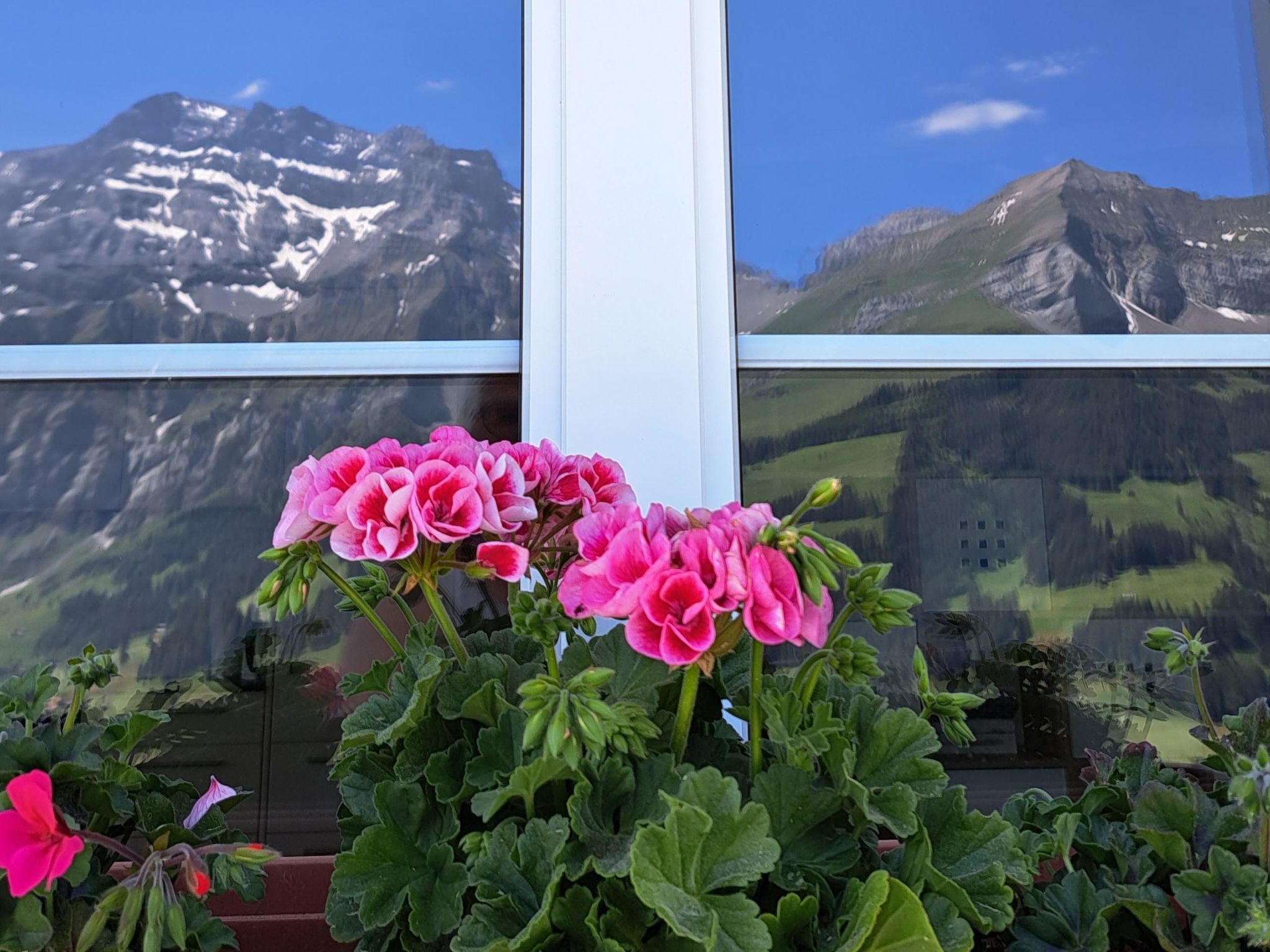 Photo of Sonnen-Panorama Appartement/Fewo, Dusche, WC 1-Zimmerwohnung