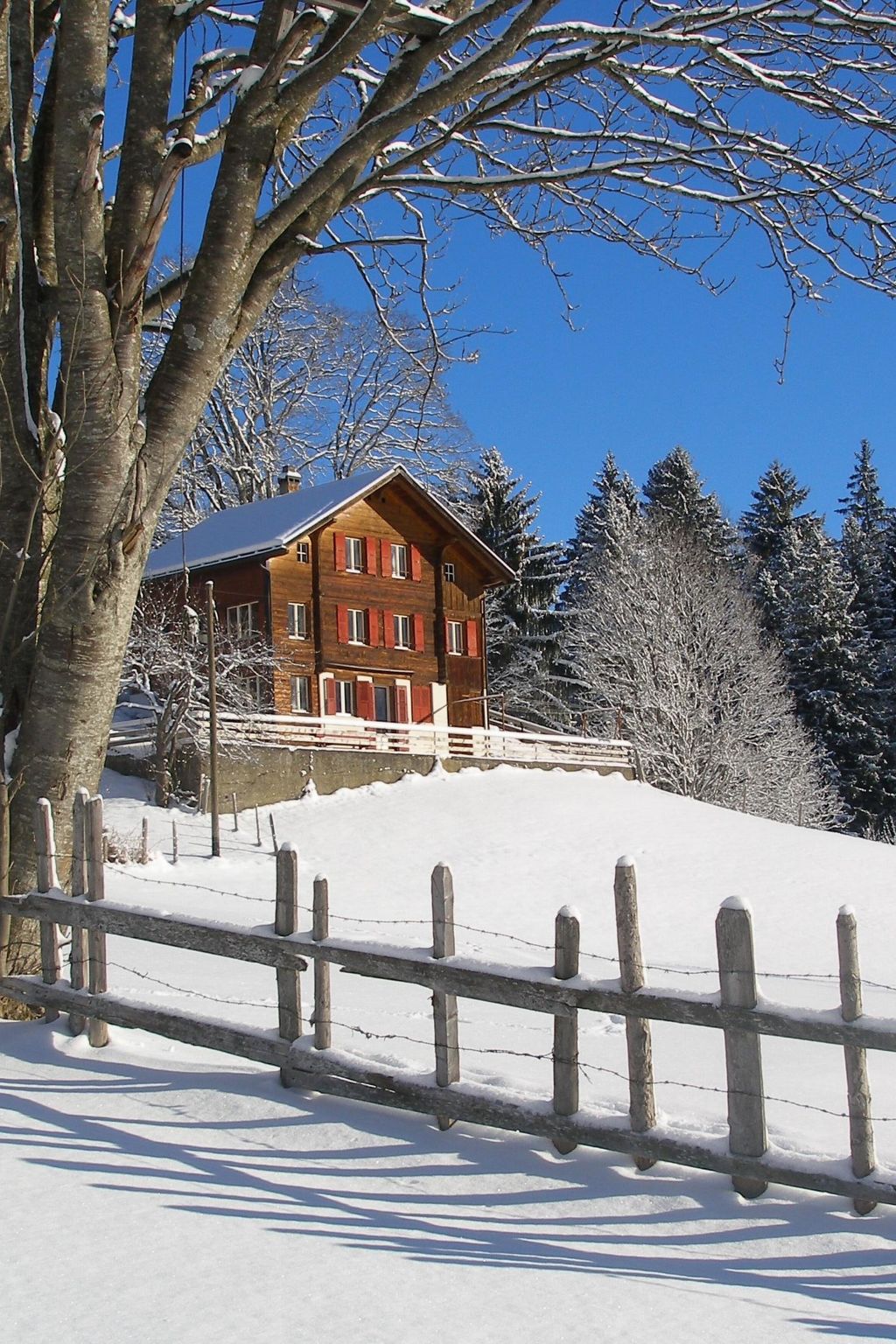 Sunnebühl Appartement/Fewo, Bad, WC, 3 Schlafräume Ferienhaus 5.5-Zimmerwohnung