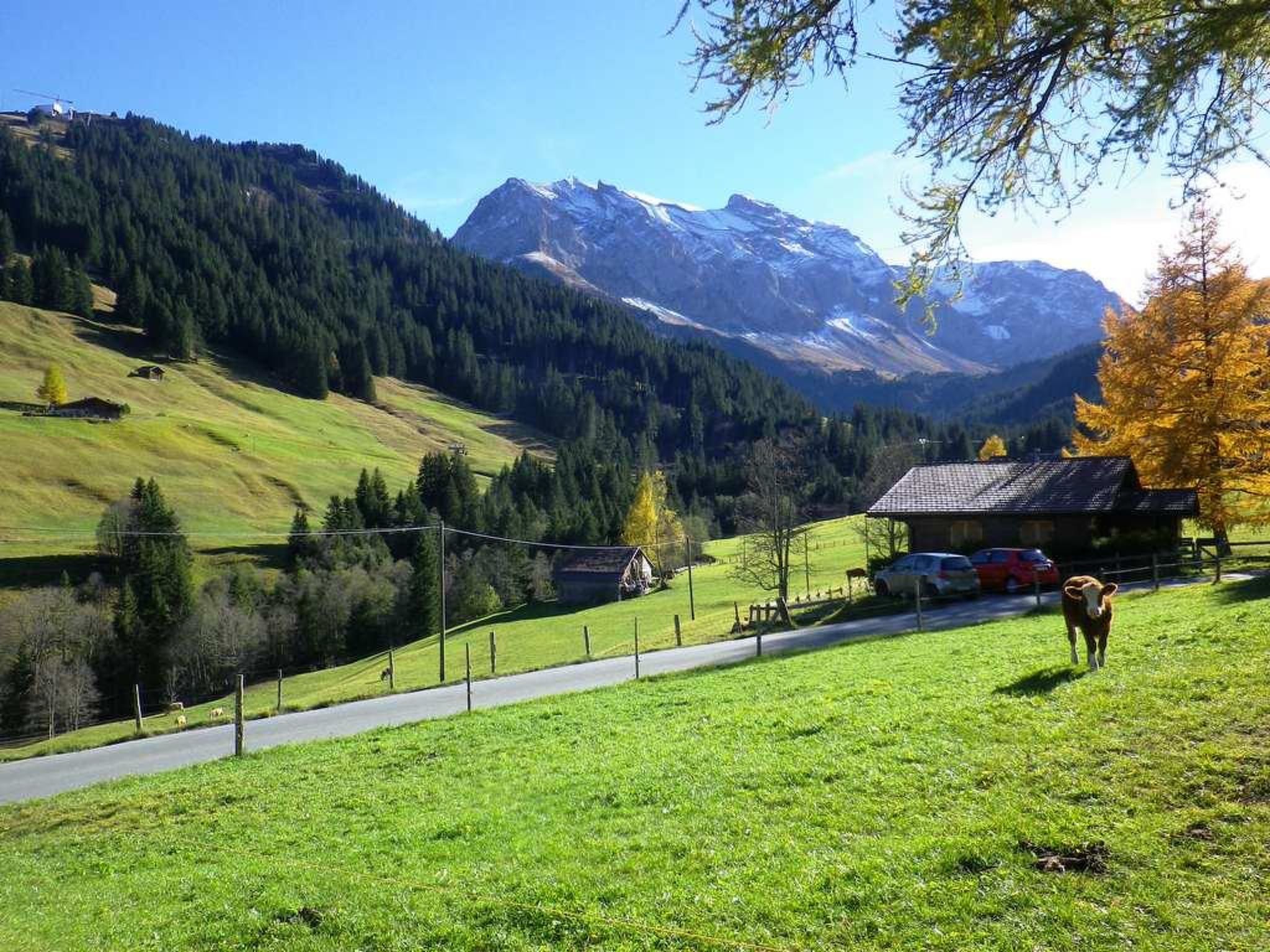 Bim Lerch Appartement/Fewo, Bad, WC, 3 Schlafräume 4.5-Zimmerwohnung