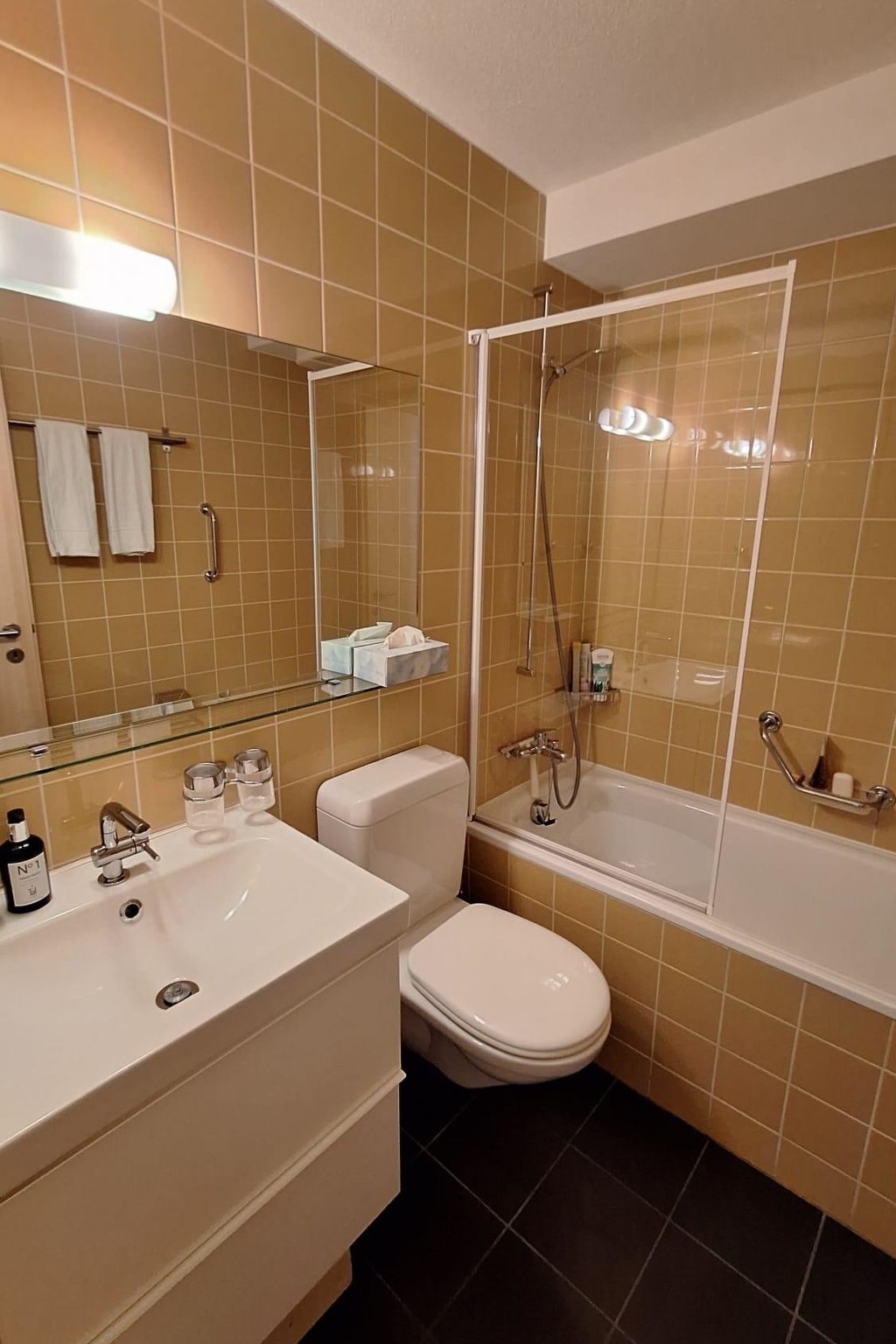 Chalet Sirius Appartement/Fewo, Bad, WC, 3 Schlafräume 4-Zimmer-Wohnung - Drinnen