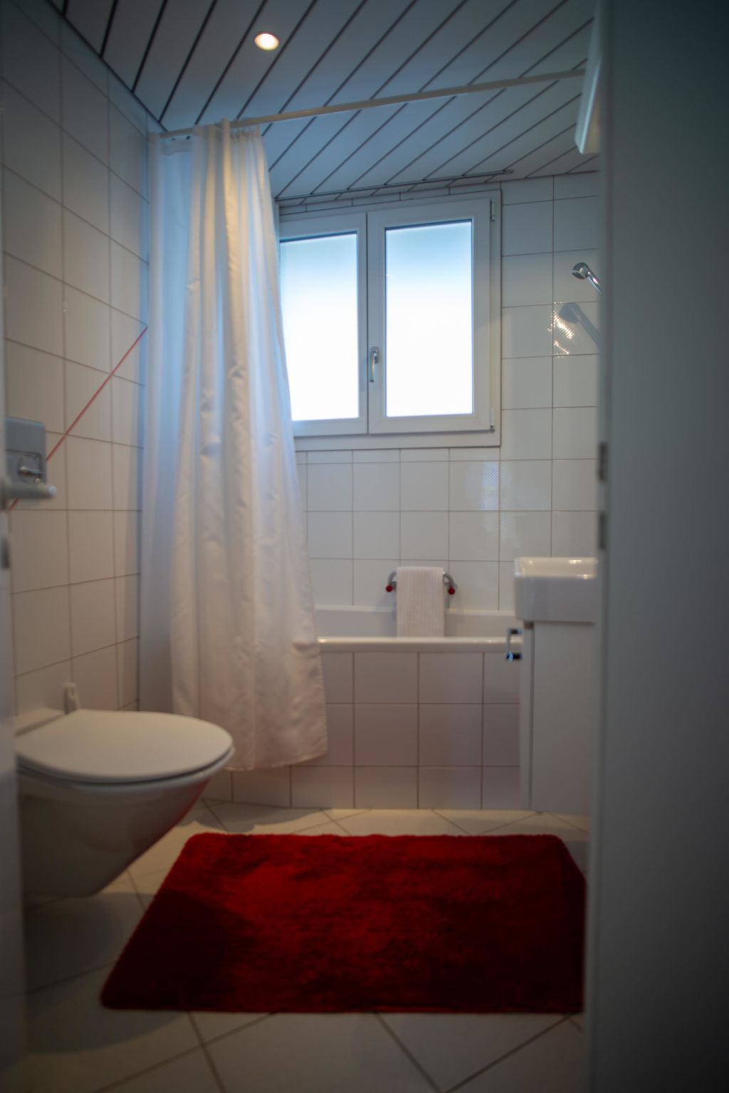 Surselva Appartement/Fewo, Dusche, WC, Balkon 6-Zimmerwohnung - Inside