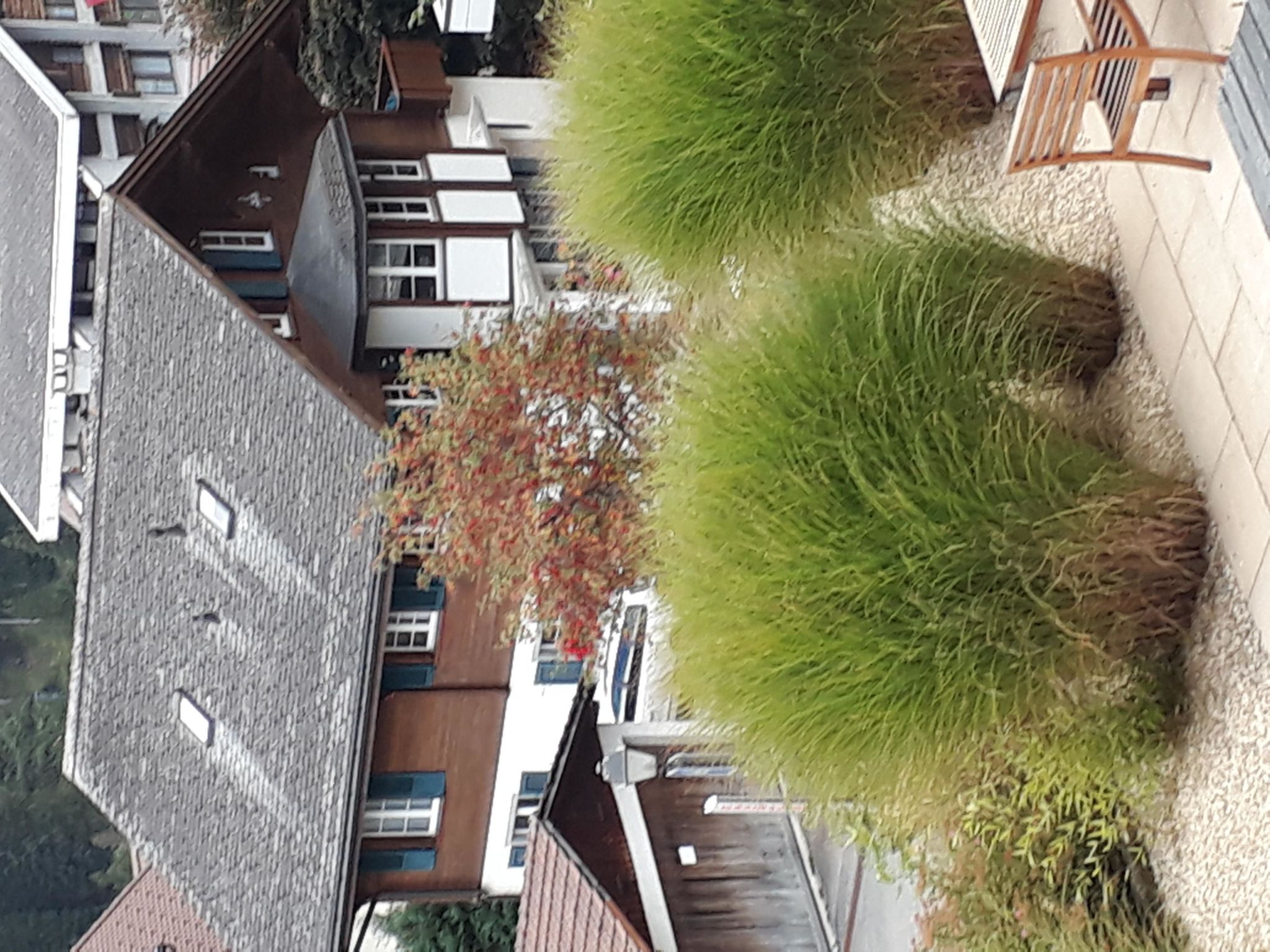 Photo of Surselva Appartement/Fewo, Dusche, WC, Balkon 6-Zimmerwohnung