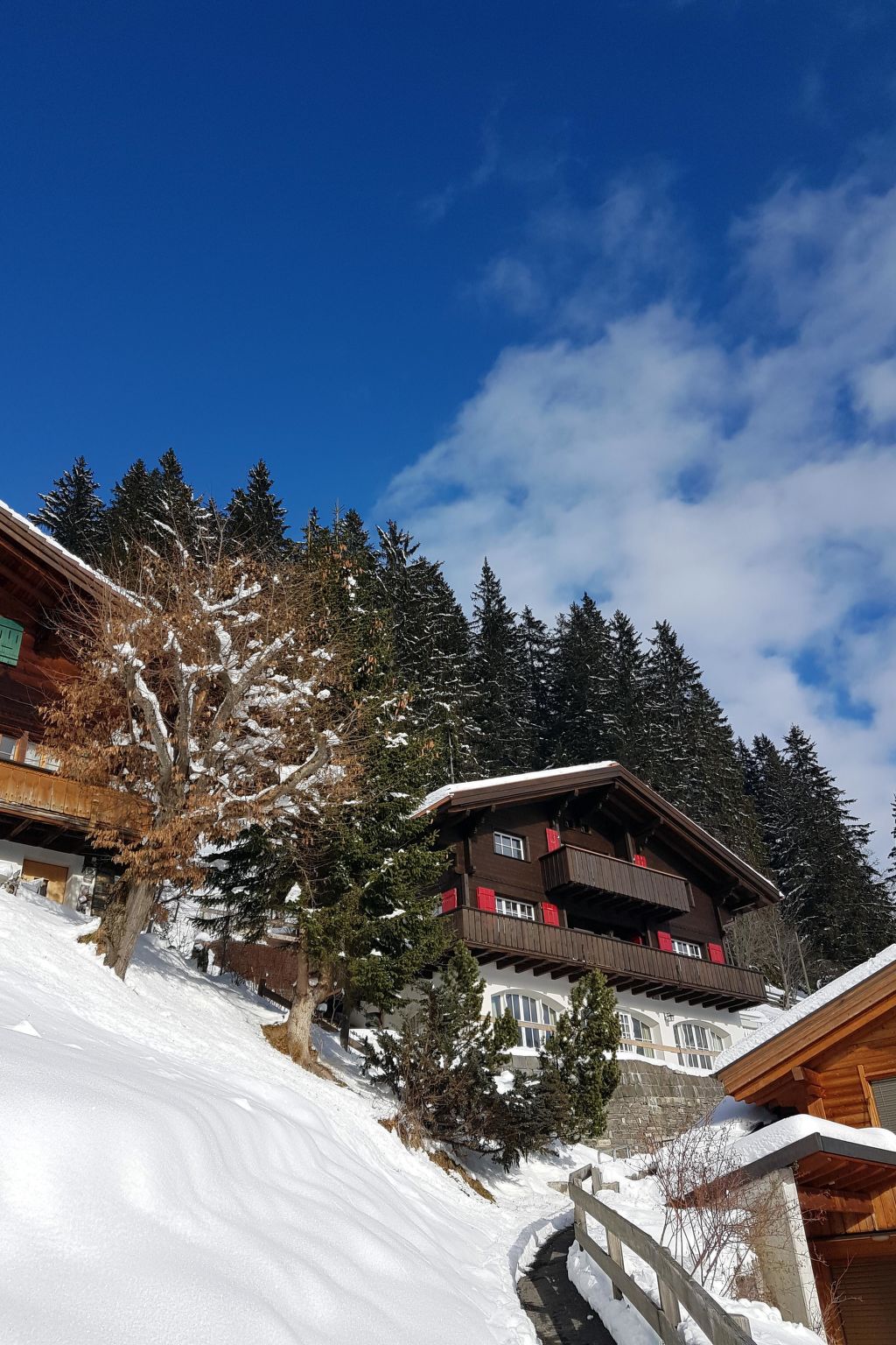 Chalet Ginette Appartement/Fewo, Bad, WC, 2 Schlafräume - Outside