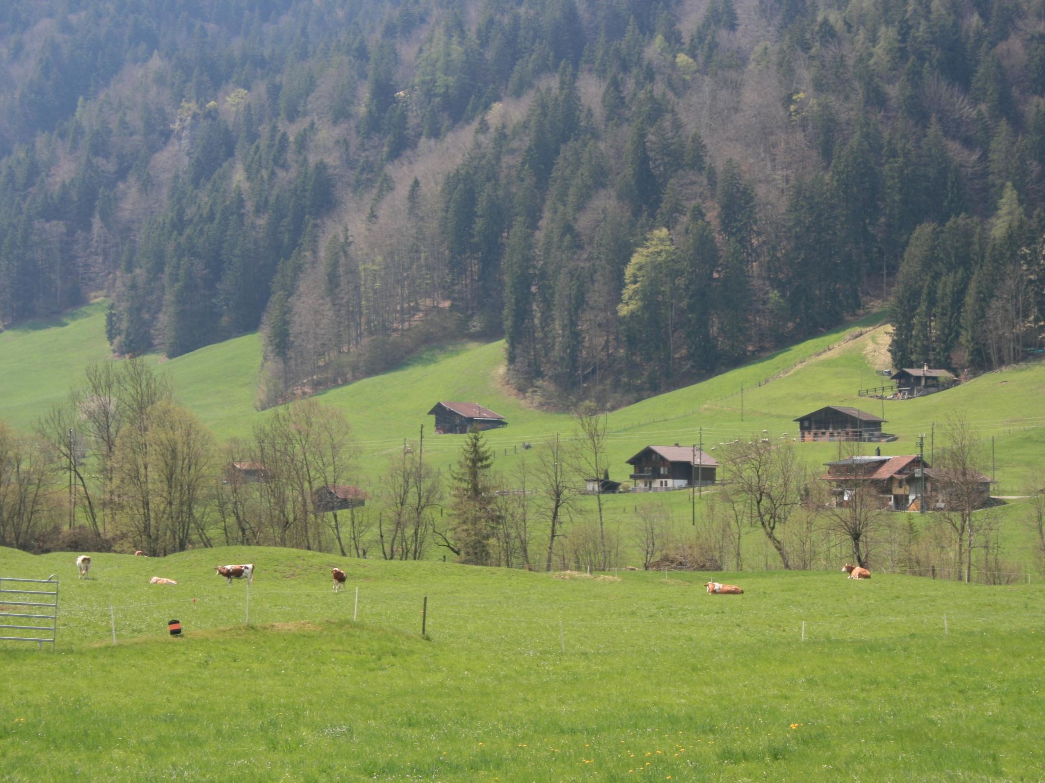 Chalet Bifigen-Outside