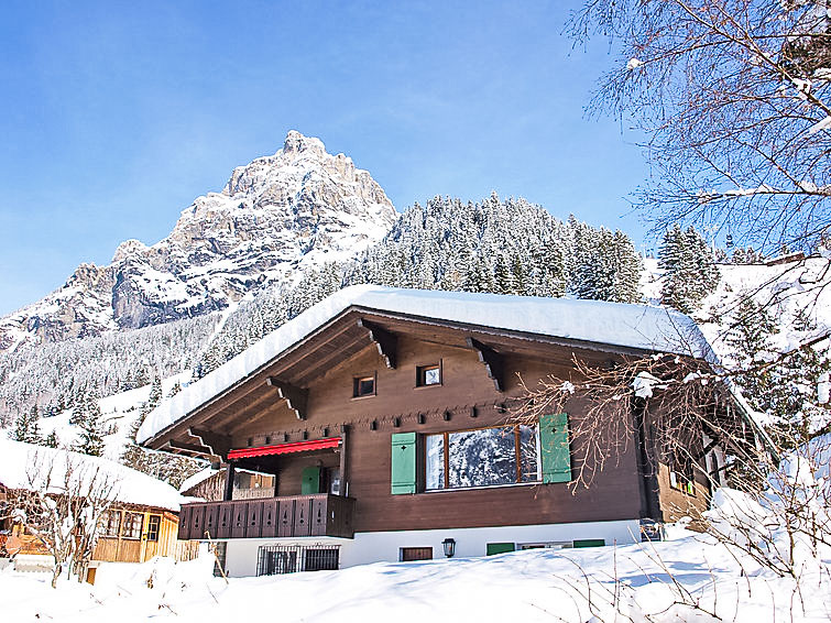 Ferienhaus Chalet Marietta