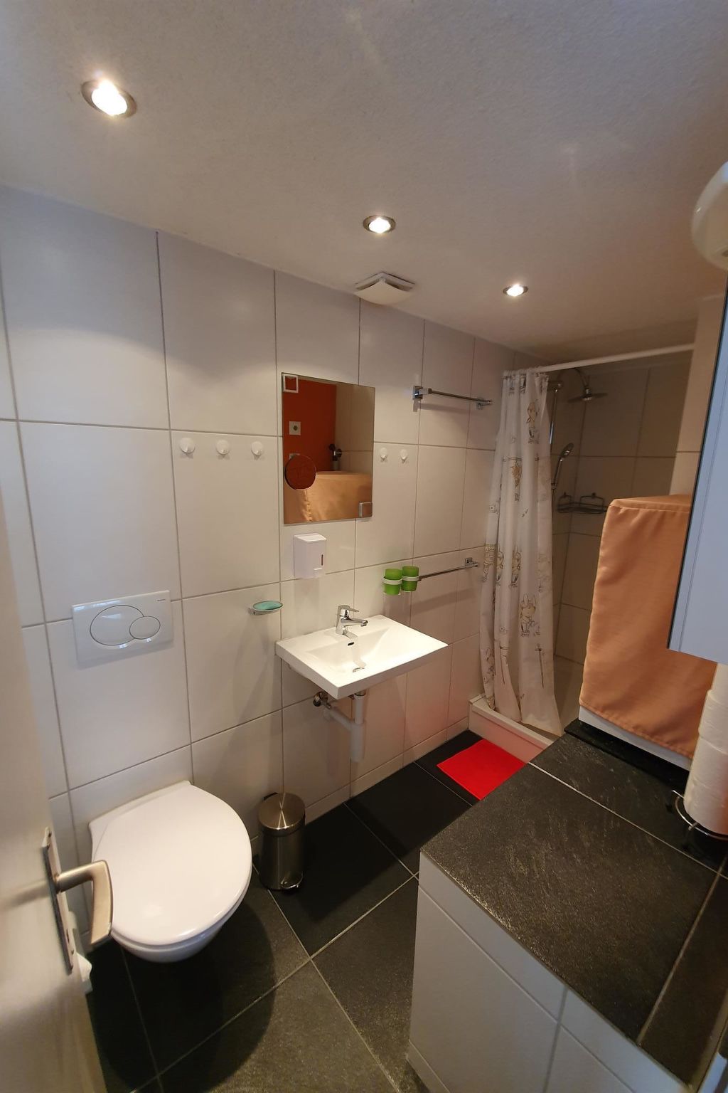 Blüemlisalpblick Appartement/Fewo, Dusche und Badewanne, Balkon 6-Bett Wohnung - Image-tags.info