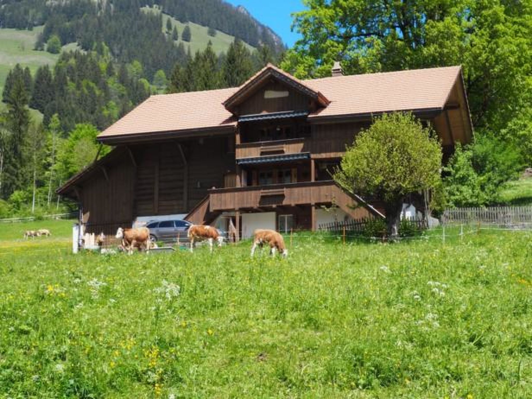 Chalet Rüteli Appartement/Fewo, Dusche, WC, 1 Schlafraum 2-Zimmerwohnung