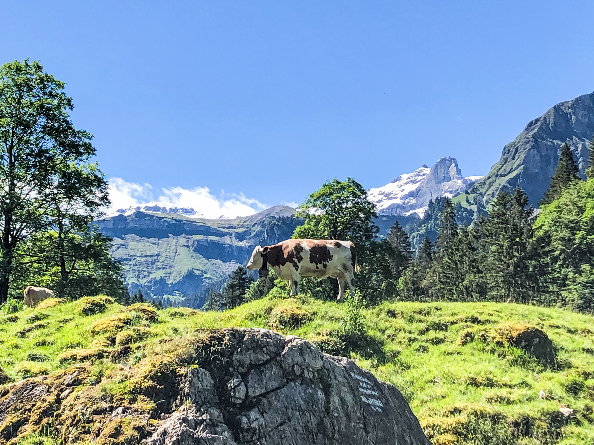 Sennhütte Kiental - Dehors