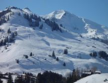 Appartement Eggmatte: Ruim 5-persoons verblijf direct aan de skipiste in Schwenden - thumbnail 4