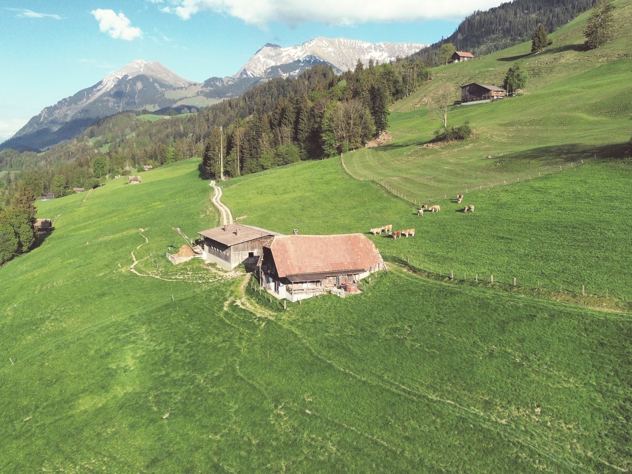 Appartement Weidehütte Appartement/Fewo, WC, 2 Schlafräume à Erlenbach