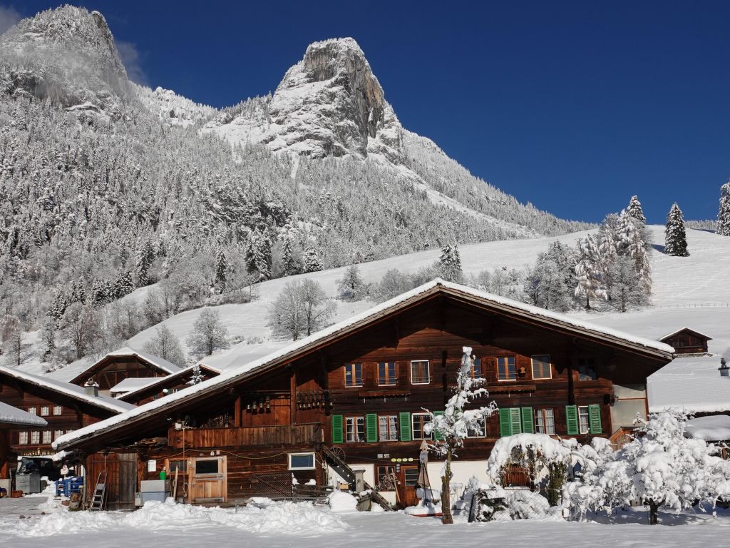 Appartement Ferienwohnung Haltenboden in Zwitserland