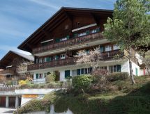 Chalet Anita: Uitzicht op berg en meer bij Zweisimmen - thumbnail 1