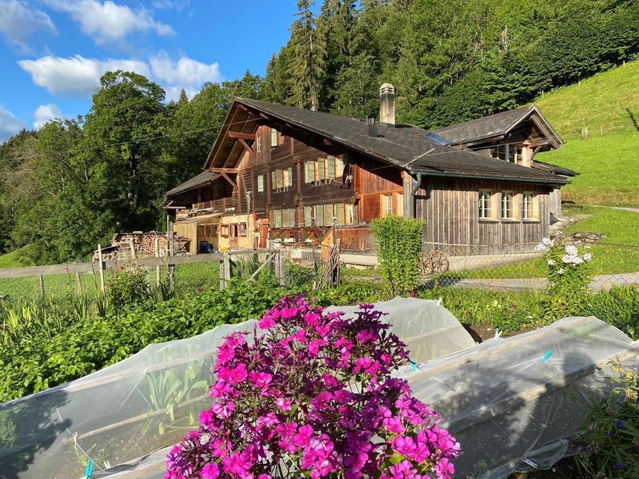 Authentic farmhouse at 1030 metres above sea level in the Simmental in the Bernese Alps.Perfect for peace and relaxation.The farmhouse has a TIBA wood-burning cooker in the kitchen, which also heats t..