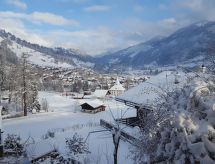 Ruim 4-kamer appartement aan de piste in Zweisimmen met tuin en bergzicht - thumbnail 3