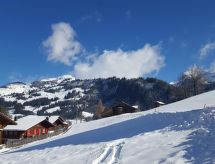 Ruim 4-kamer appartement aan de piste in Zweisimmen met tuin en bergzicht - thumbnail 4