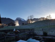 Ruim 4-kamer appartement aan de piste in Zweisimmen met tuin en bergzicht - thumbnail 6