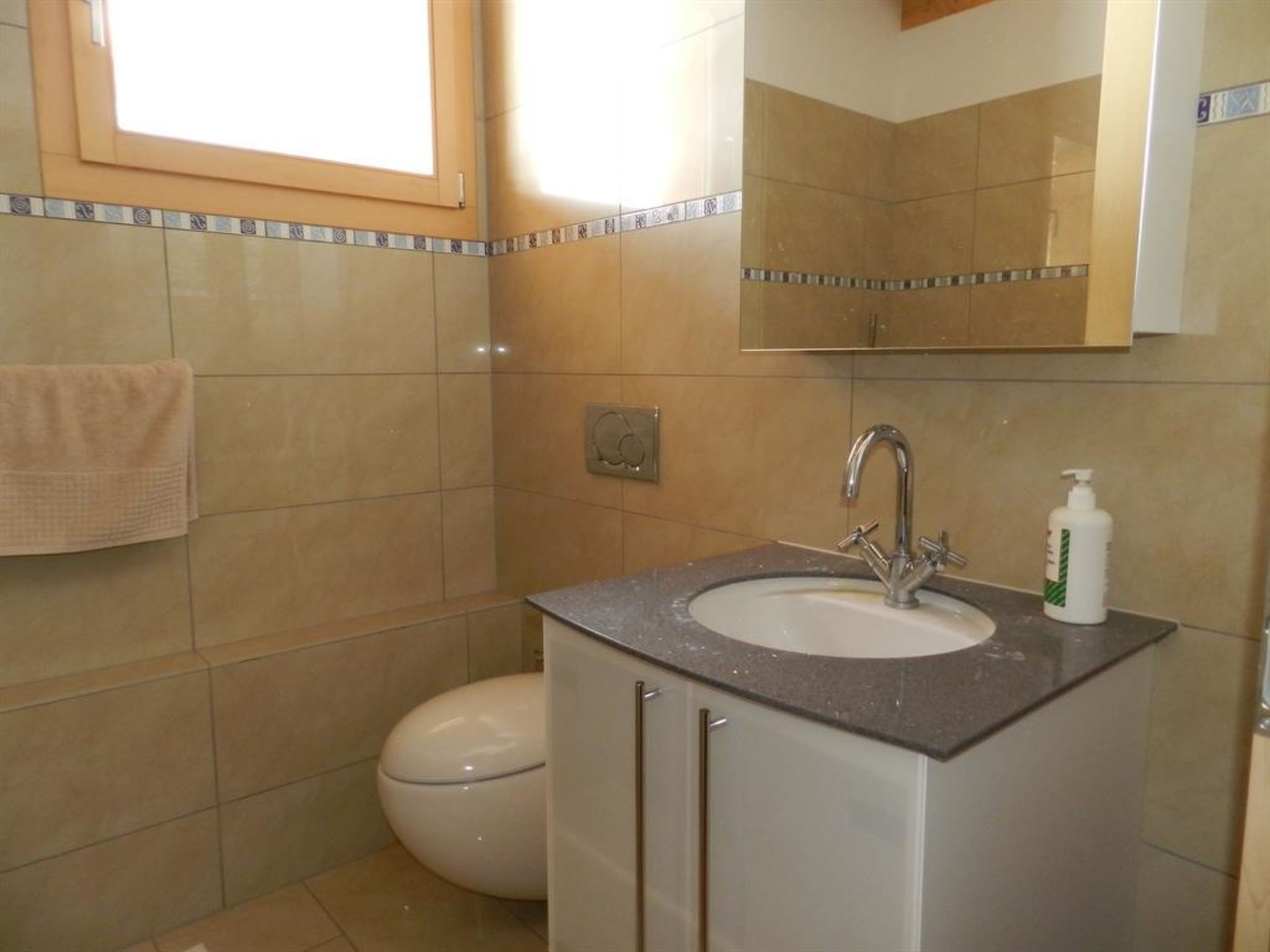 Gletscherblick, Chalet Appartement/Fewo, Dusche oder Bad, WC 10-Bettwohnung - Binnen