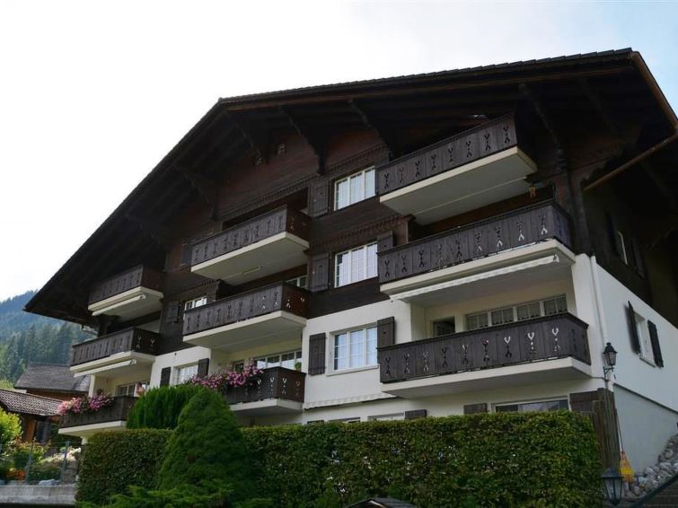 Fink Appartement/fewo, Dusche Oder Bad, Wc 2-bettwohnung - Zweisimmen