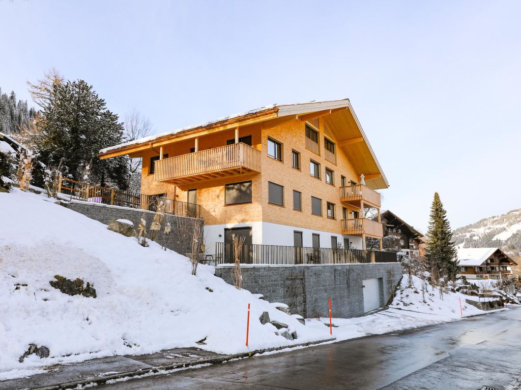 Appartement Rinderberg Sockelgeschoss Nordost in Zwitserland