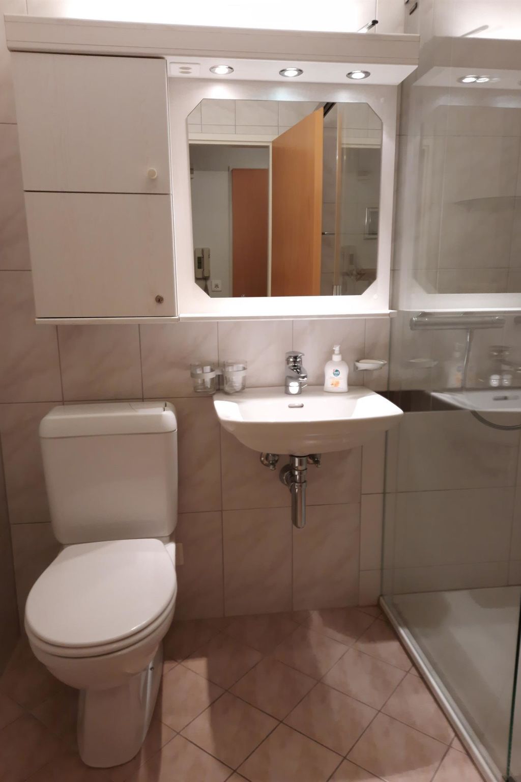 Mösli (Zimmerli) Appartement/Fewo, Dusche oder Bad, WC 2-Bettwohnung - Inside