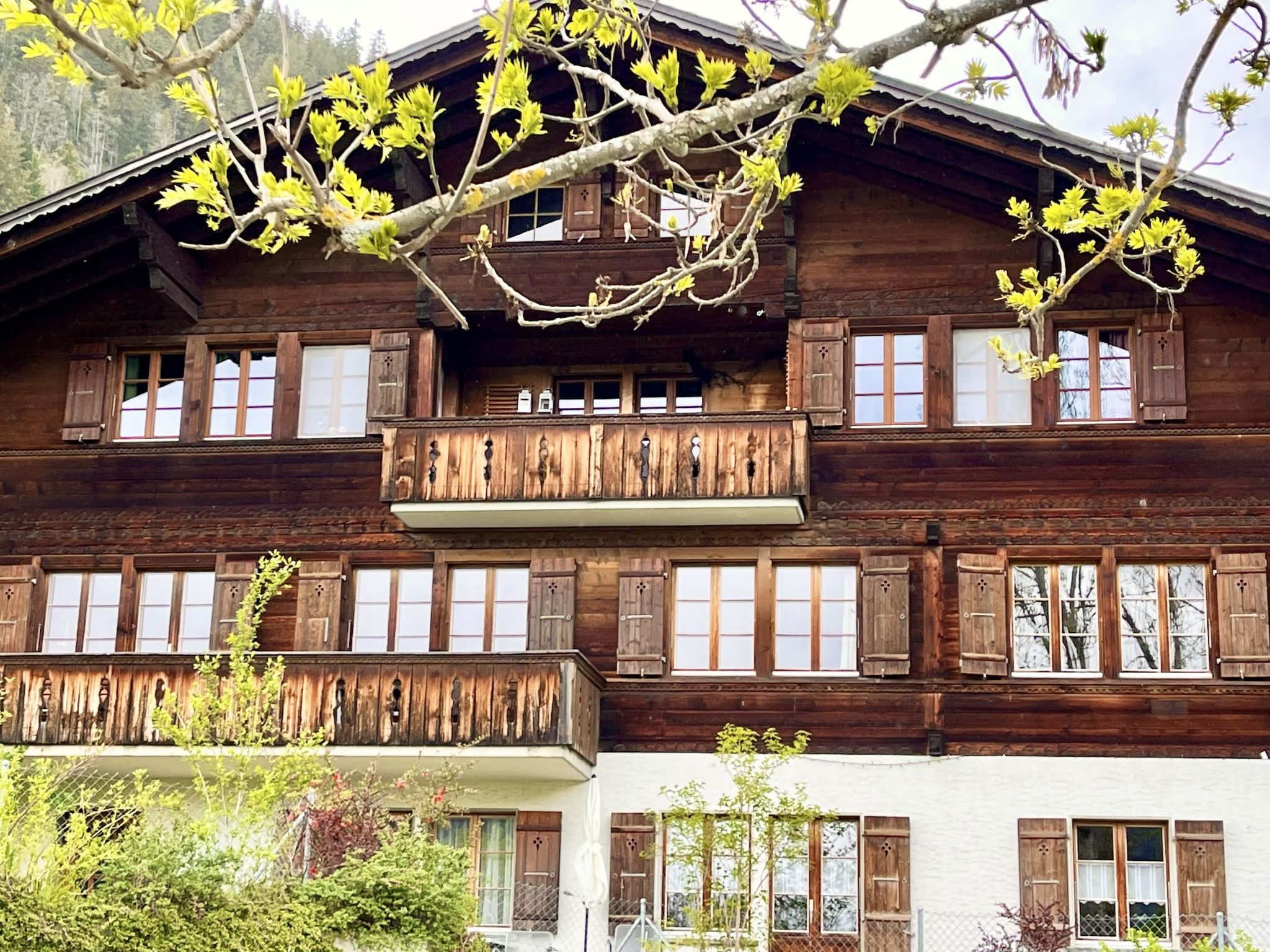 Akelei (klein) Appartement/Fewo, Dusche oder Bad, WC 3-Bettwohnung
