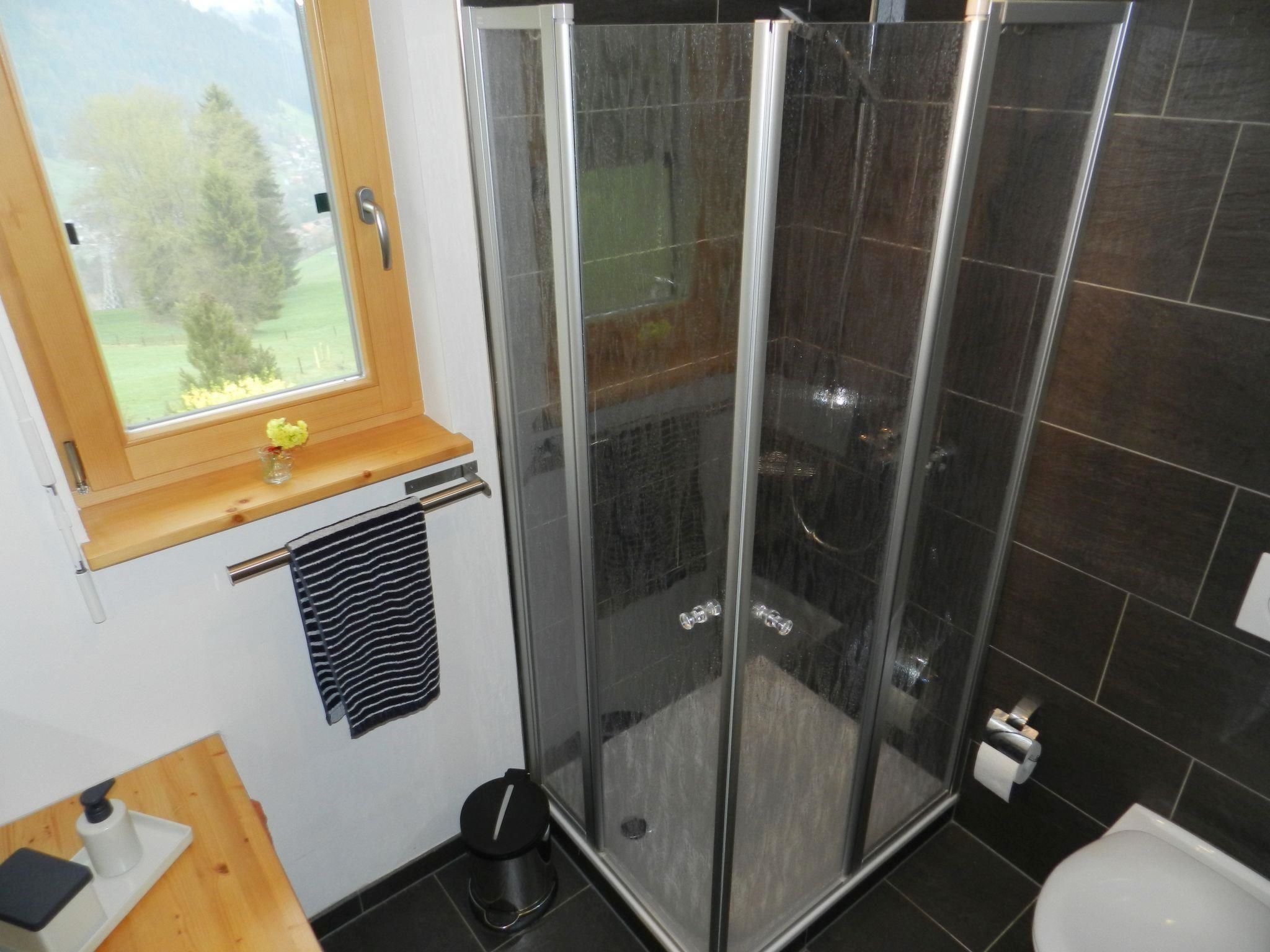 Panorama, Chalet Appartement/Fewo, Dusche oder Bad, WC 7-Bettwohnung - Dedans