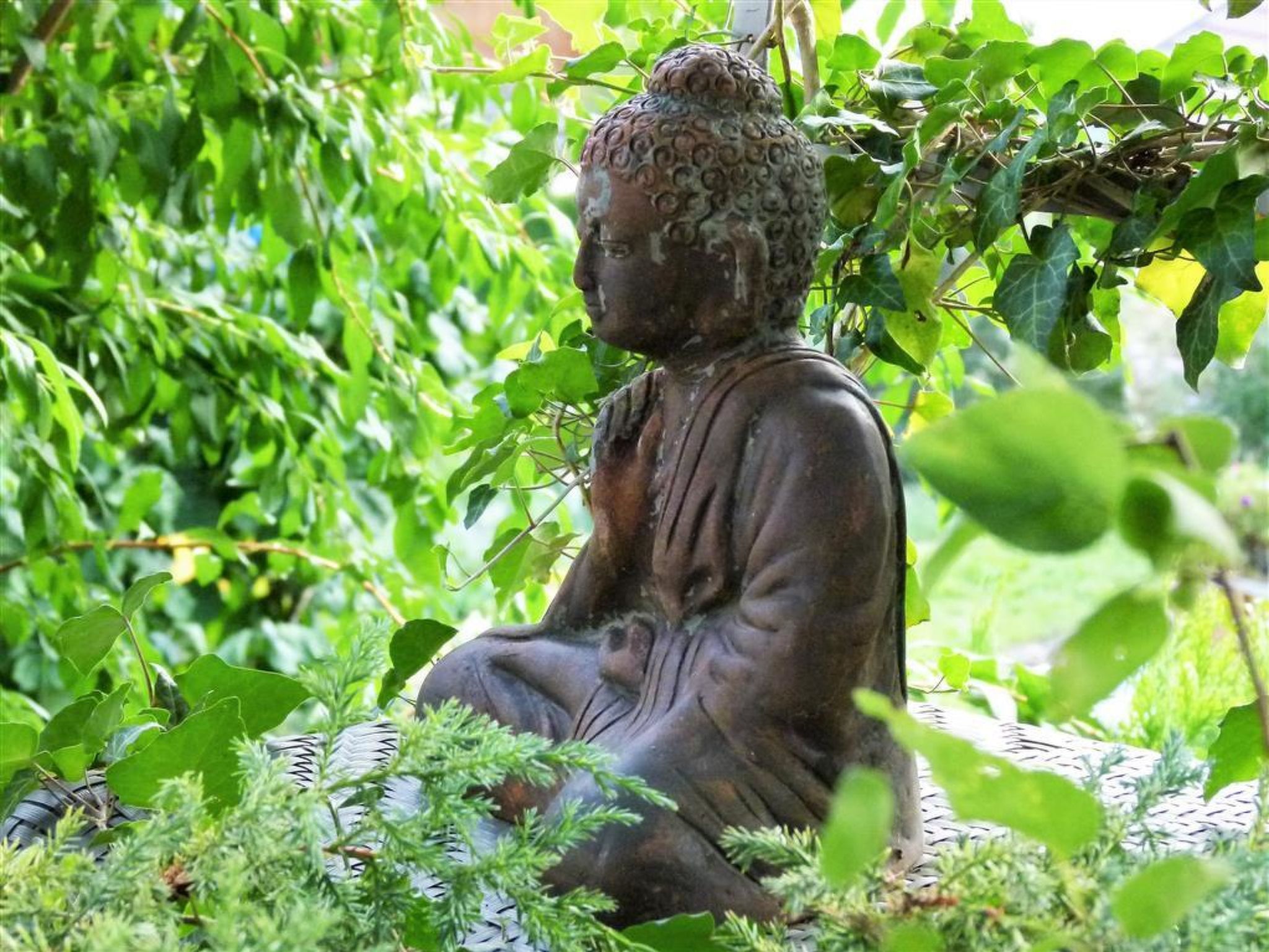 2-Bettwohnung - Buiten