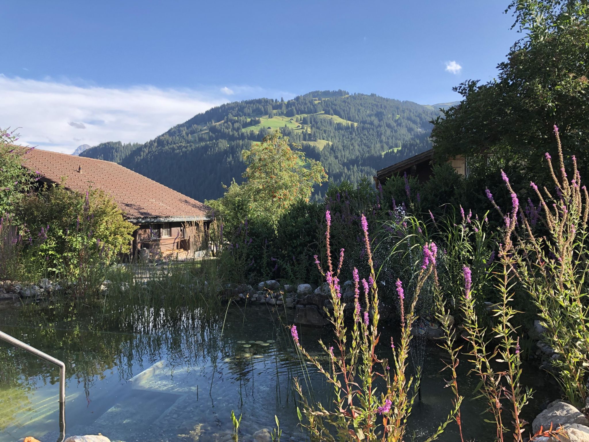 Strubeli Appartement/Fewo, Dusche oder Bad, WC, 2 Schlafräume 4-Bett-Wohnung - Draußen