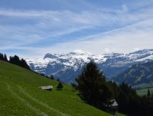 Ferienwohnung Alphütte Gibelhüttli