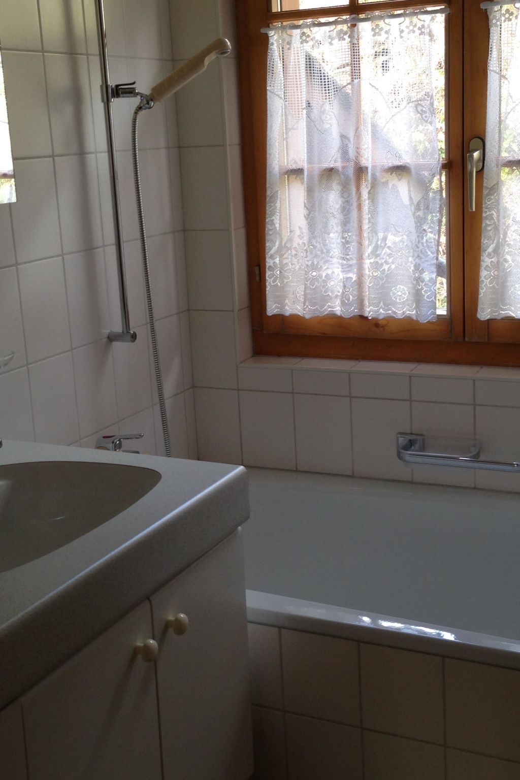 Favre OG Ost Appartement/Fewo, Dusche oder Bad, WC, 1 Schlafraum 2-Bett-Wohnung - Drinnen