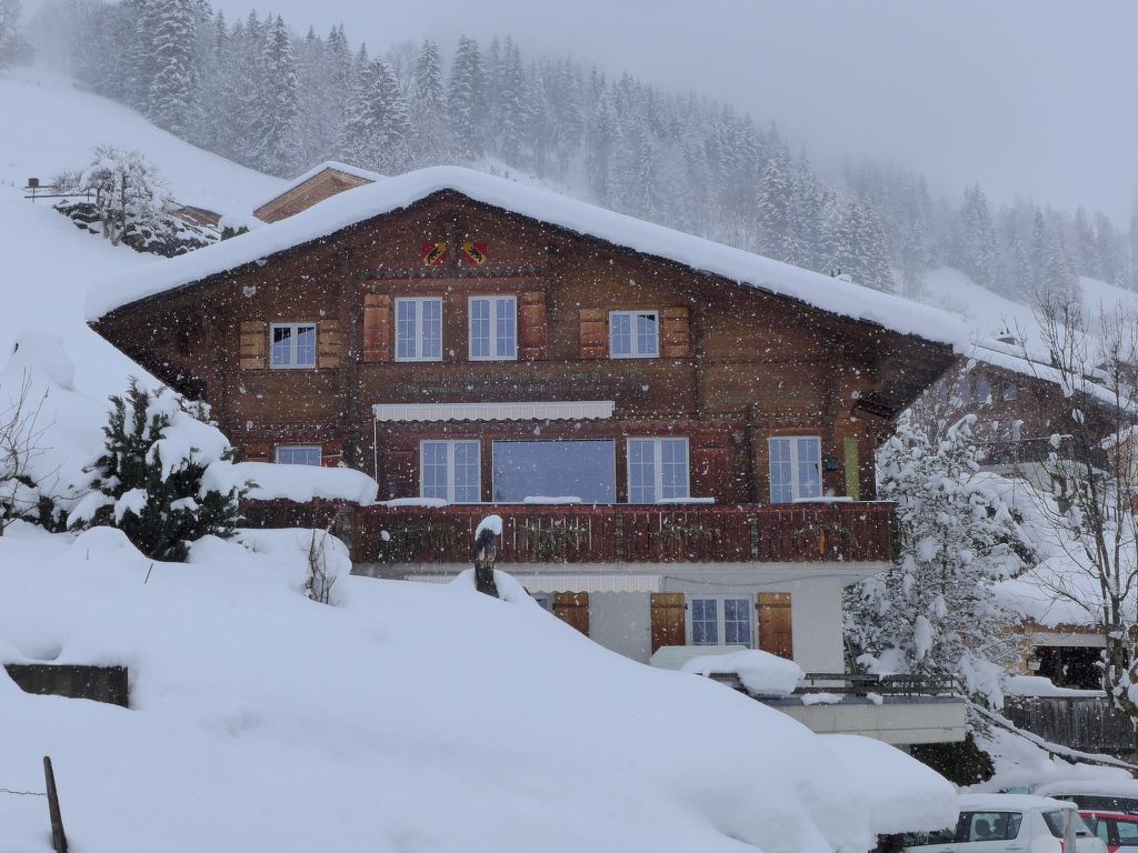 Ferienwohnung Chalet Seeberg Ferienwohnung in der Schweiz