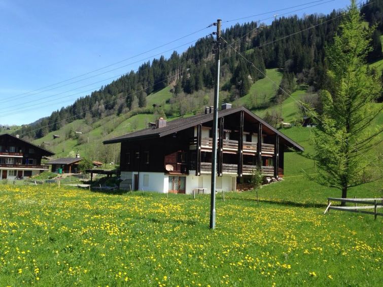 Rothenbach Apartment in Lenk