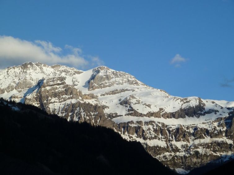 Photo of Morion