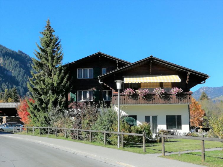 Aegertenstrasse 10 Apartment in Lenk