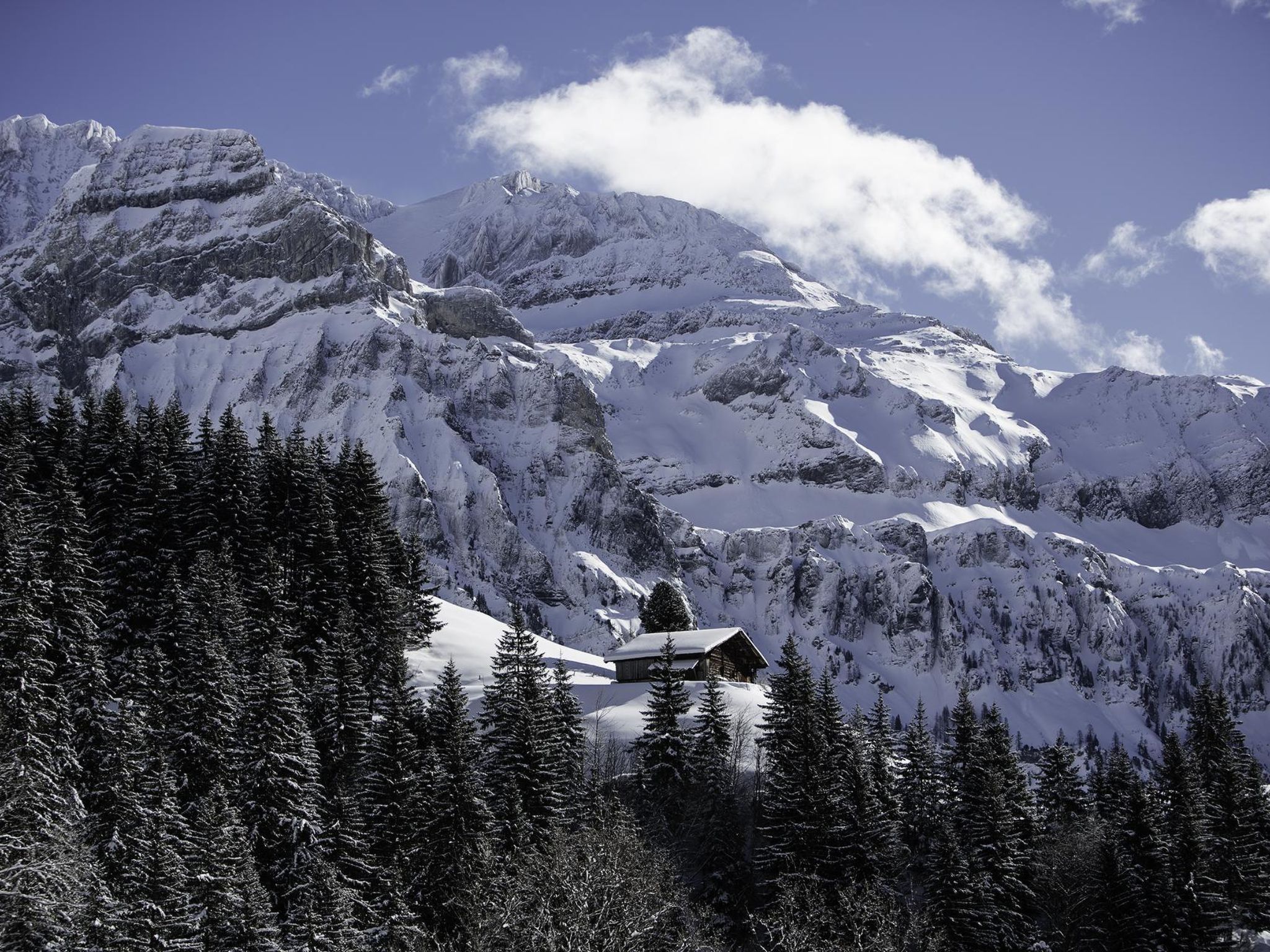 Photo of Chalet Weitblick Appartement/Fewo, Dusche oder Bad, WC, Balkon