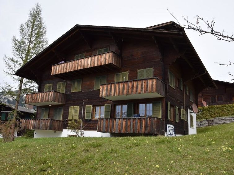 Brandegg 4 Apartment in Lenk