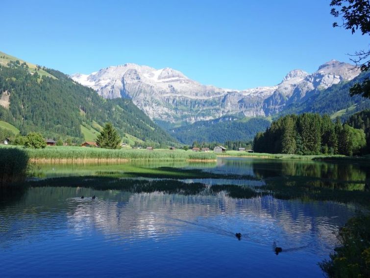 Photo of Brandegg 4