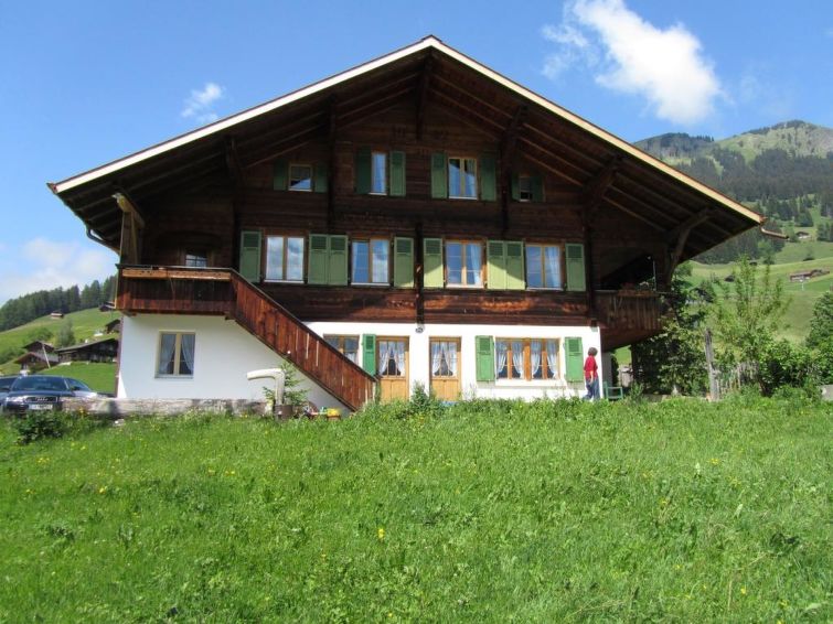 Chalet Pletschen Villa in Lenk