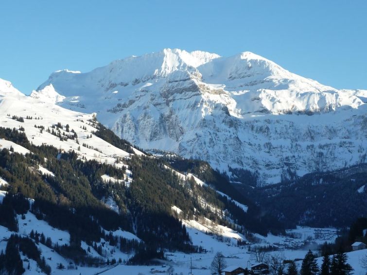 Photo of Bach